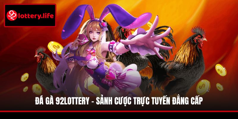 Đá gà 92LOTTERY - sảnh cược trực tuyến đẳng cấp
