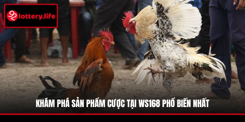 Khám phá sản phẩm cược tại Ws168 phổ biến nhất